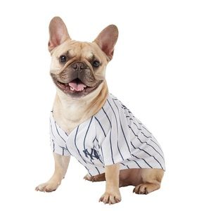 Dog, Doggie Yankee Jersey